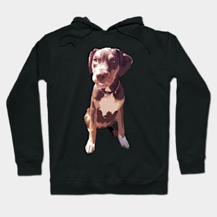 Xena the Brown Mutt Puppy Hoodie